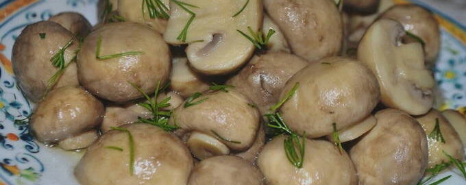 Маринованные грибы - 10 быстрых и вкусных рецептов в домашних условиях