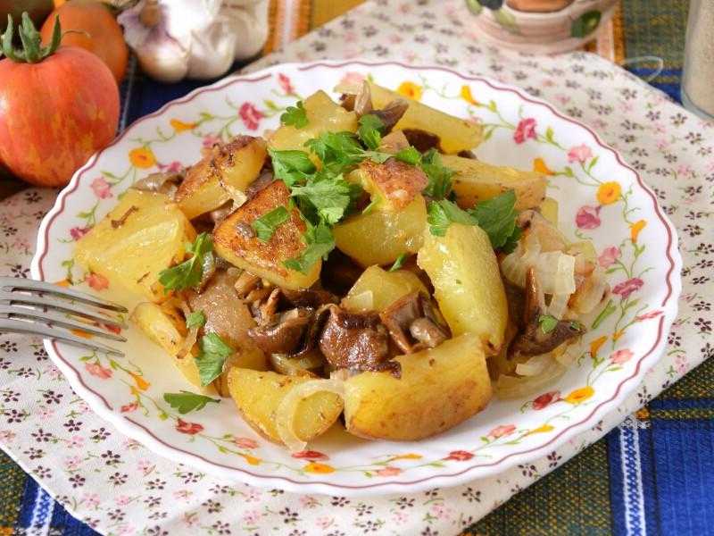 Рецепты из сушеных грибов - как приготовить грибной суп, сколько варить с картошкой.
