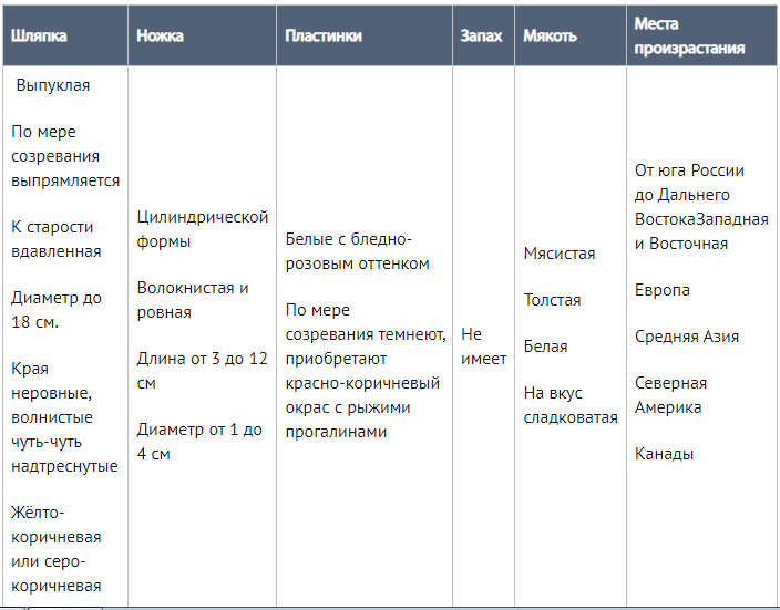 10mh6f