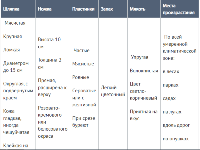 2м4758