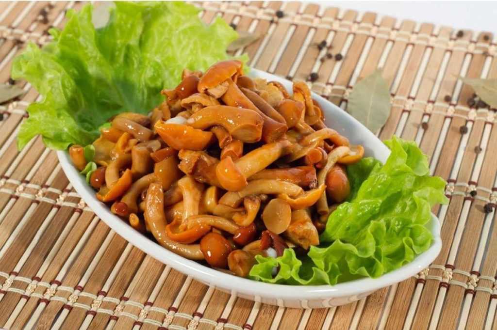 Вкусные консервированные буковые грибы на зиму - рецепт с фото