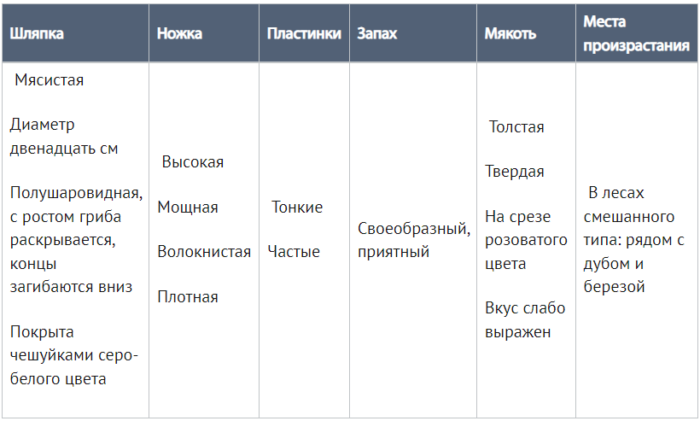 4мюи