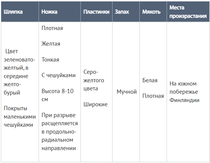 5 нт