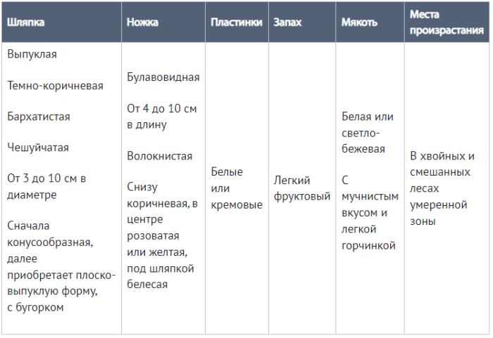 9бг