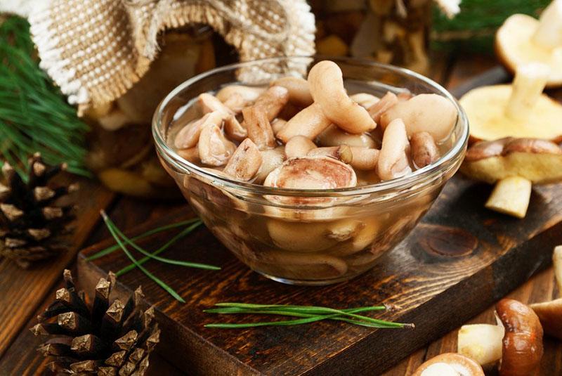 Рецепт маринованных грибов для масляных грибов, медовых грибов