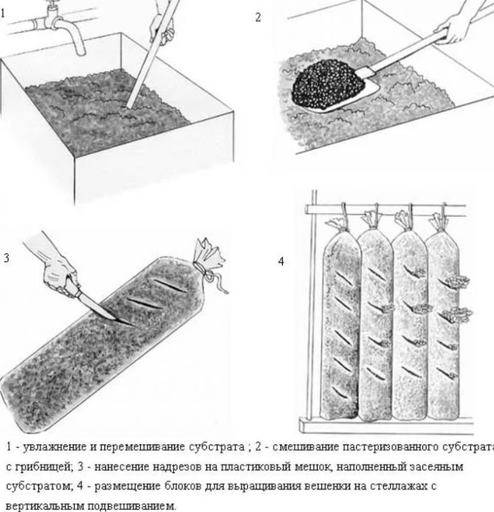Интенсивный способ