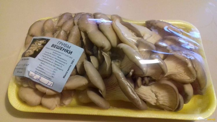 вешенки в упаковке
