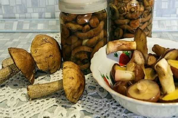 Классические и экзотические рецепты маринования краснокочанной капусты и диких боровиков