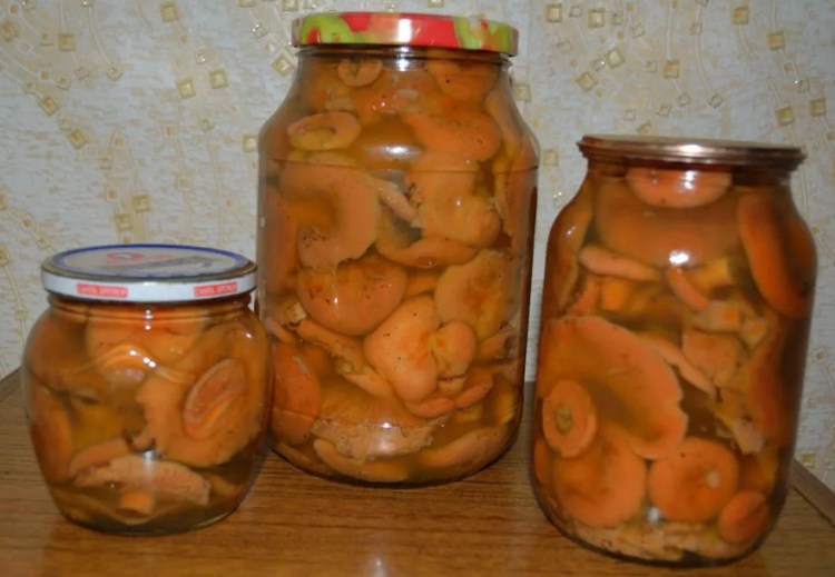 Припущенные молочные крышечки, маринованные с корицей. Капсулы с соленым молоком