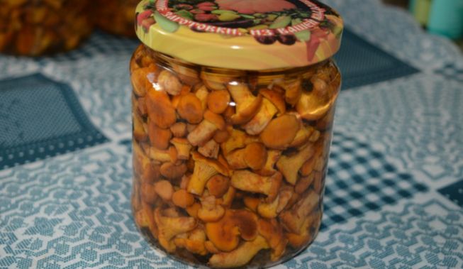 Маринованные канны в банках на зиму