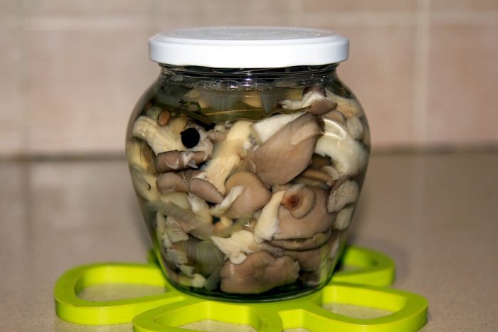 Как вкусно и быстро замариновать грибы вешенки к столу в домашних условиях