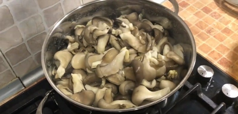 Как быстро и вкусно посолить устрицы в домашних условиях