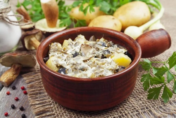 Как выглядит и как готовить подосиновик