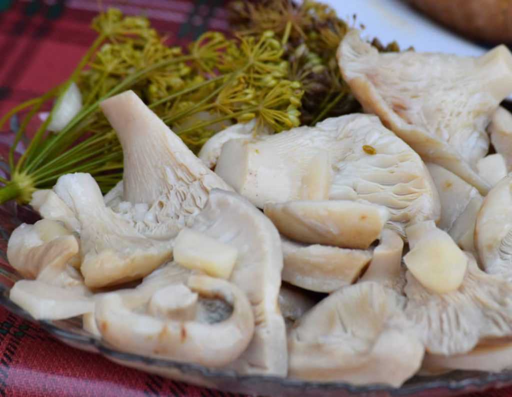 Маринование хрустящей икры! Основные способы засолки, рецепты и советы