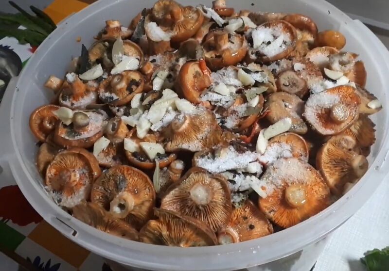 Быстрая засолка рыжиков за 2 часа, чтобы сразу есть