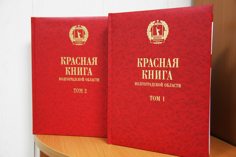 любить и защищать. Как совершенствуется система Красной книги Волгограда | ОБЩЕСТВО: Экология | ОБЩЕСТВО | АИФ Волгоград