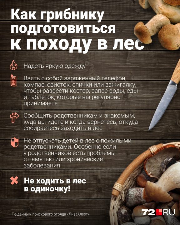Где собирать грибы в Тюмени