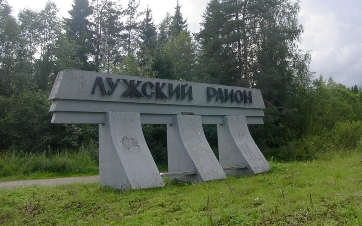 Лучшие грибные места Ленинградской области и Санкт-Петербурга: карта, районы