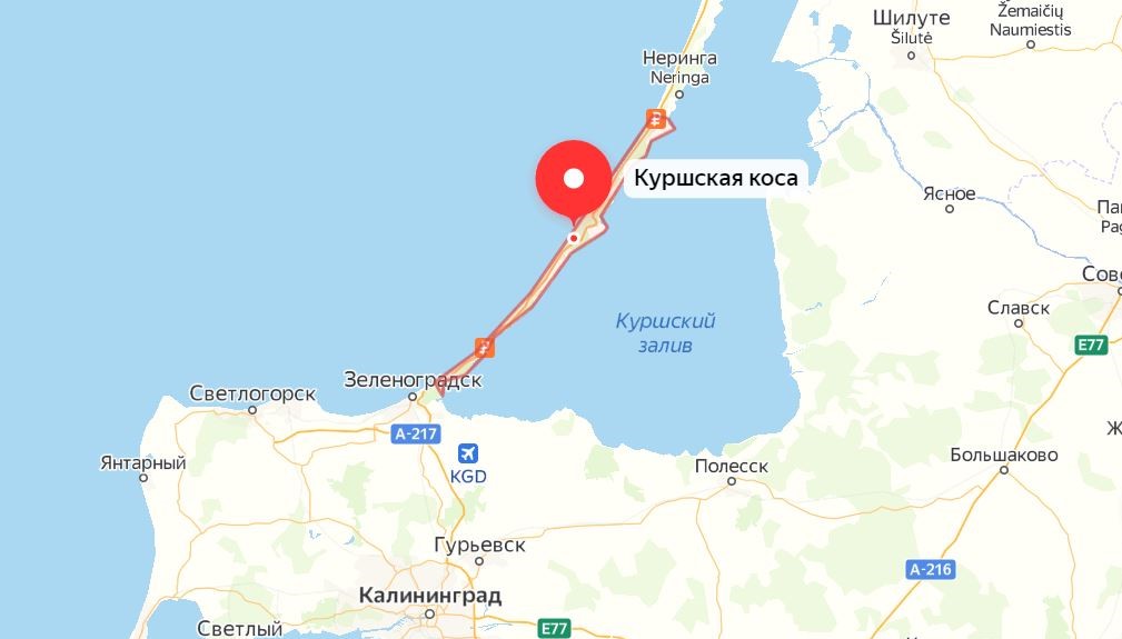 Где собирают грибы в Калининградской области: грибные места, районы, карта