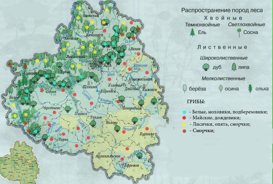 Грибные места.