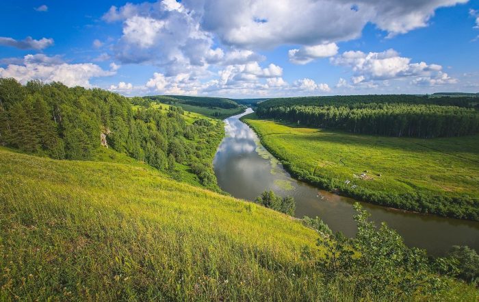 Где есть грибы в Кировской области