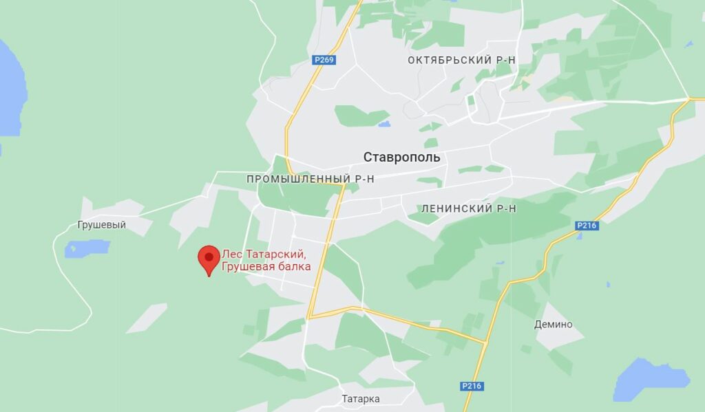 Съедобные и ядовитые грибы Ставрополя
