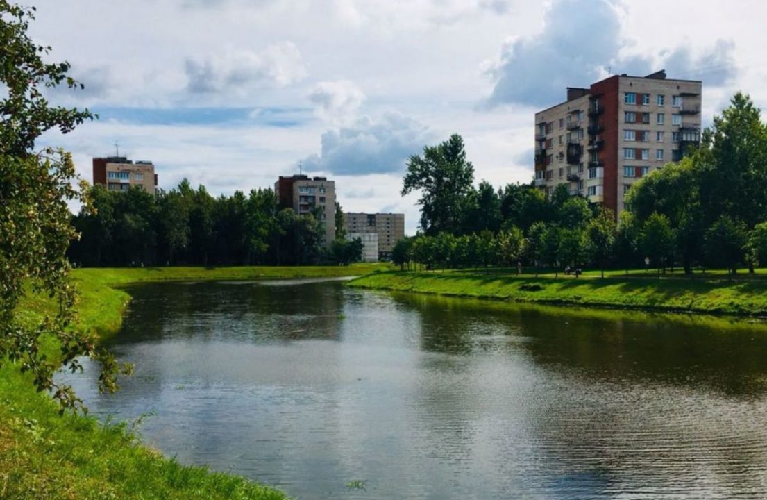 Лучшие грибные места Ленинградской области и Санкт-Петербурга: карта, районы
