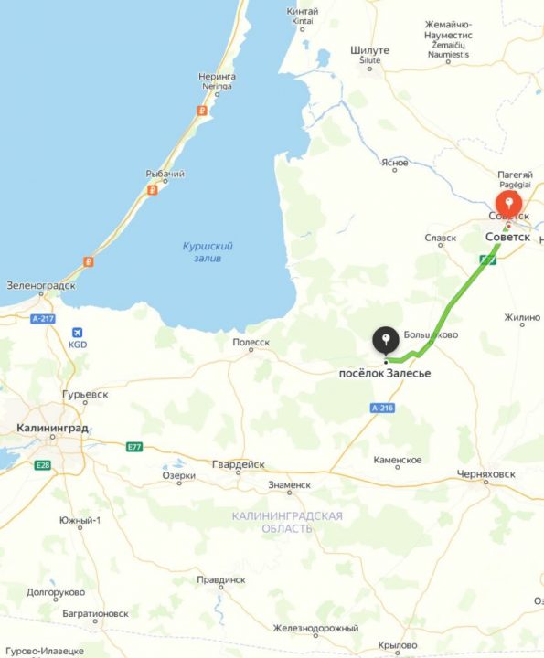 Где собирают грибы в Калининградской области: грибные места, районы, карта