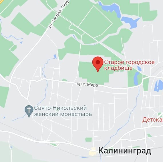Где собирают грибы в Калининградской области: грибные места, районы, карта