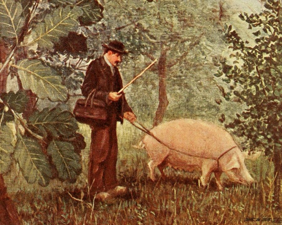 На самом деле никому нет дела до искусства | по Йод | Середина