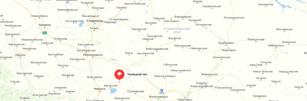 Съедобные и ядовитые грибы Ставрополя