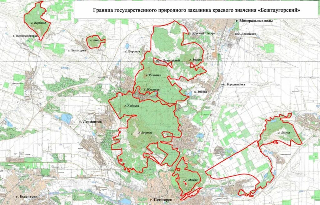 Съедобные и ядовитые грибы Ставрополя