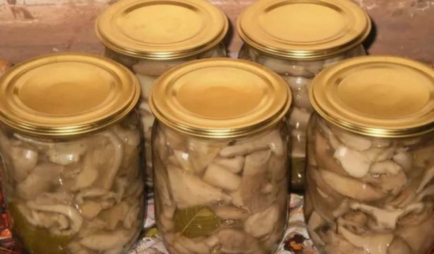 Срок годности маринованных грибов в домашних условиях