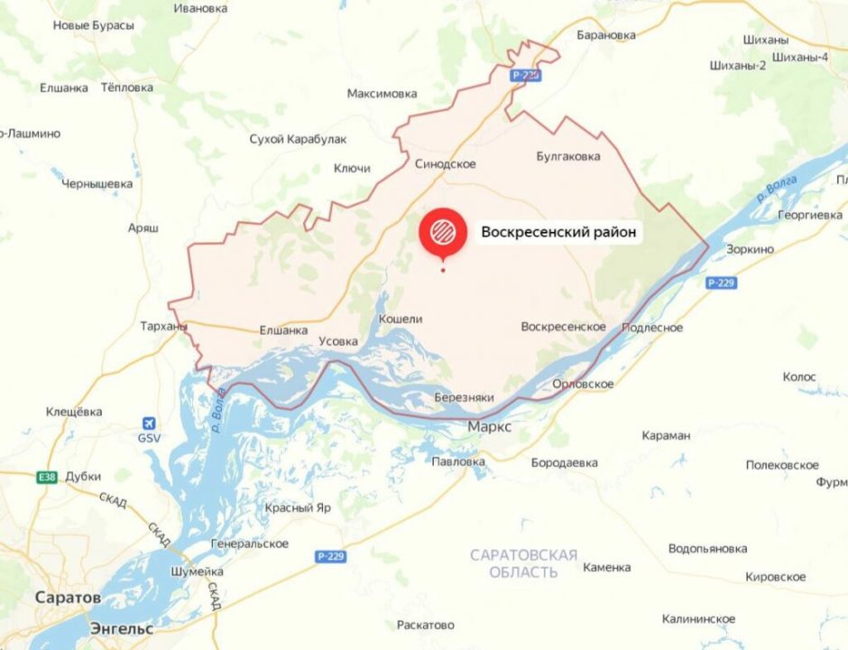 Какие грибы растут в Саратовской области