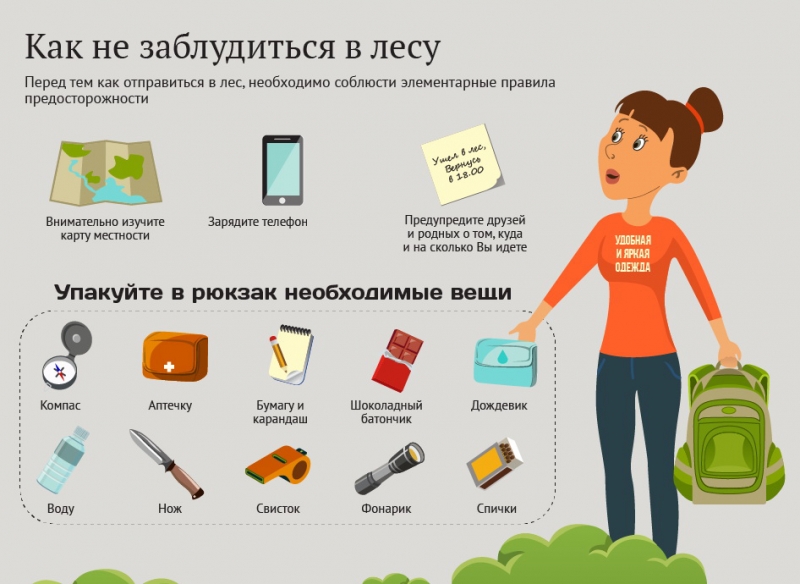 грибники, инфографика