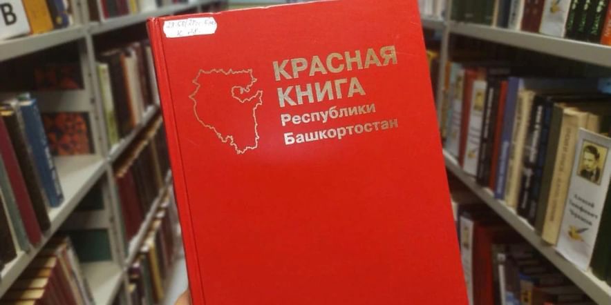 экологический урок
