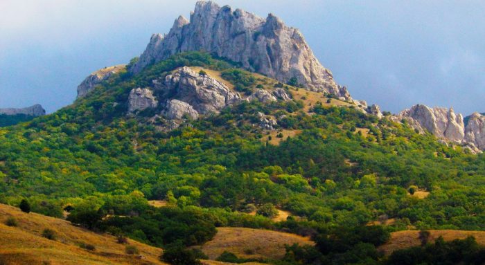 Какие грибы сейчас собирают в Крыму