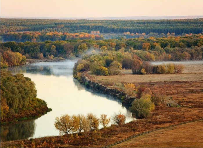 Съедобные и несъедобные грибы Воронежской области