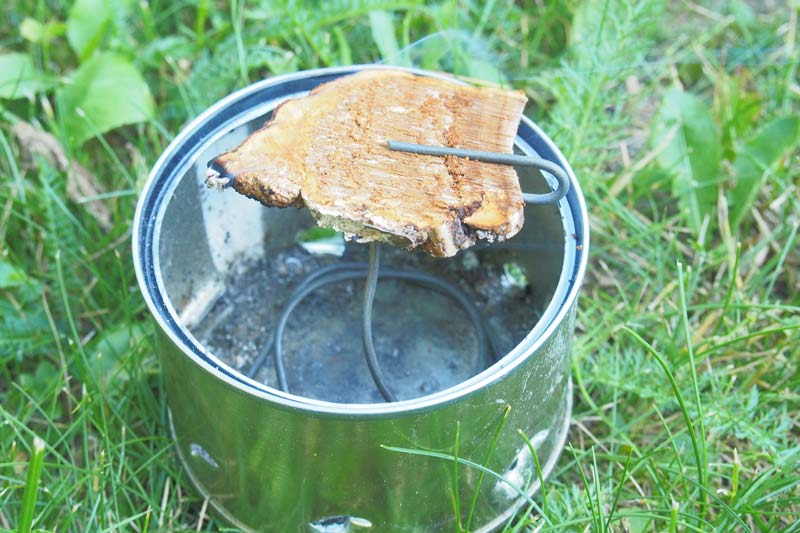 Комариный грибок
