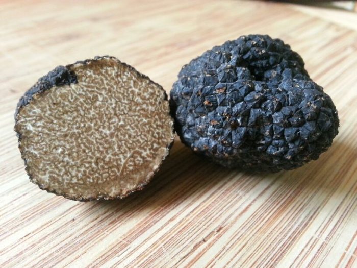 Летний трюфель (Tuber aestivum) фото