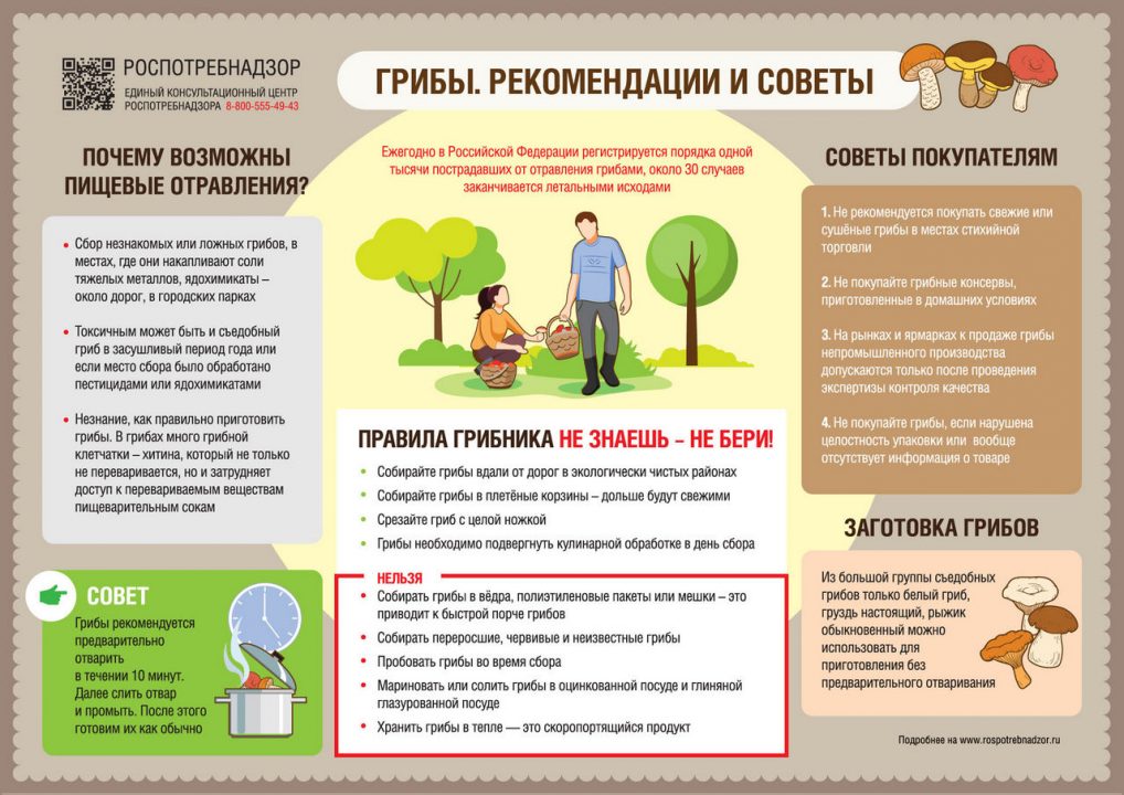 Где есть грибы в Челябинской области
