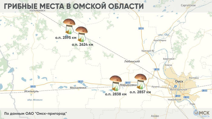грибные места и фотокарты