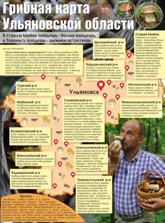 грибные места на карте Ульяновской области, фото 2021 г