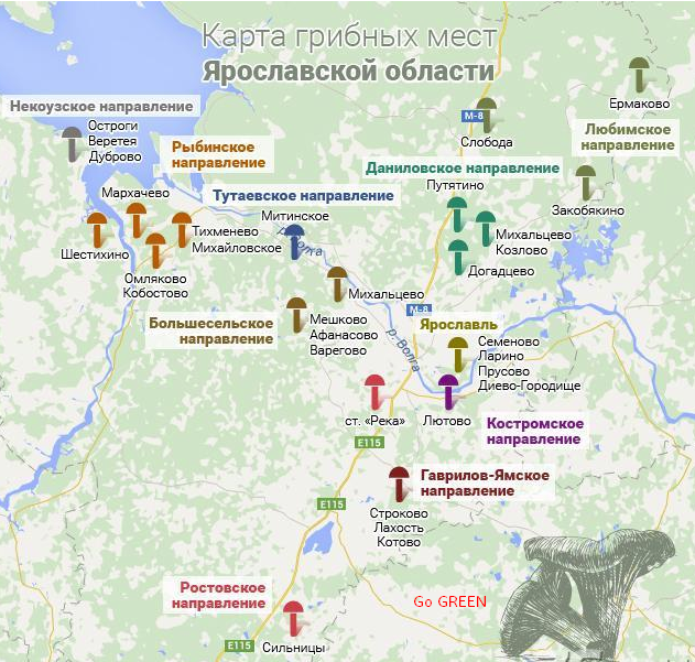 точки сбора на карте грибов по картинке