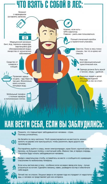 Как войти и выйти из леса