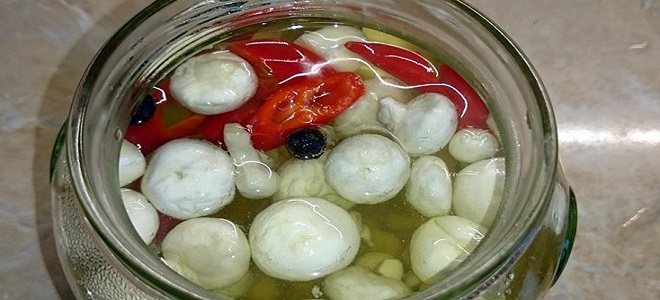 Как мариновать дождевики