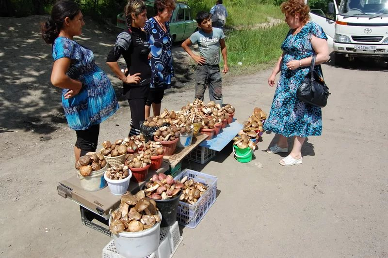 как отличить съедобный гриб от несъедобного (отмычка)