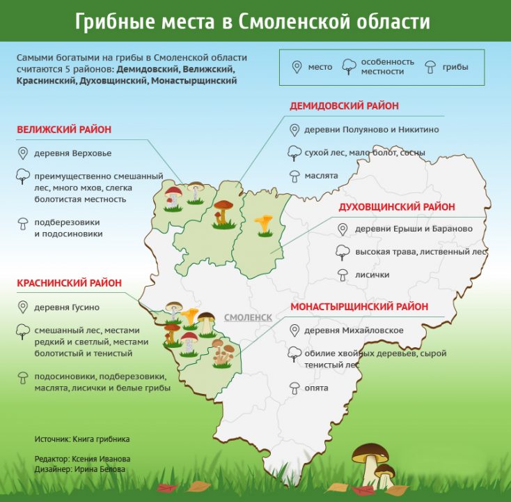Грибные стоянки в Смоленской области.