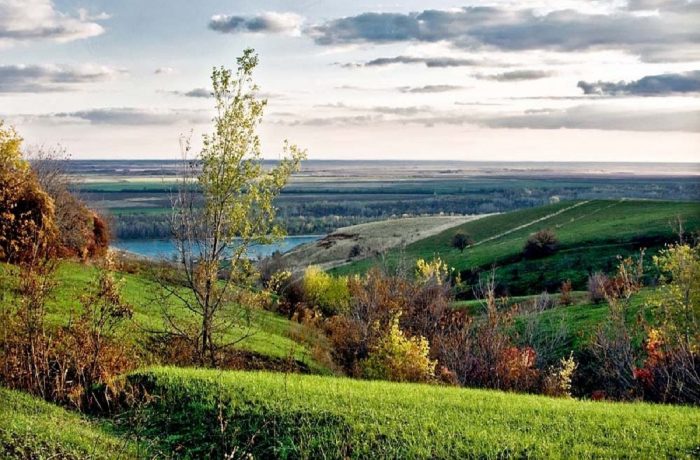 Где есть грибы в Казани