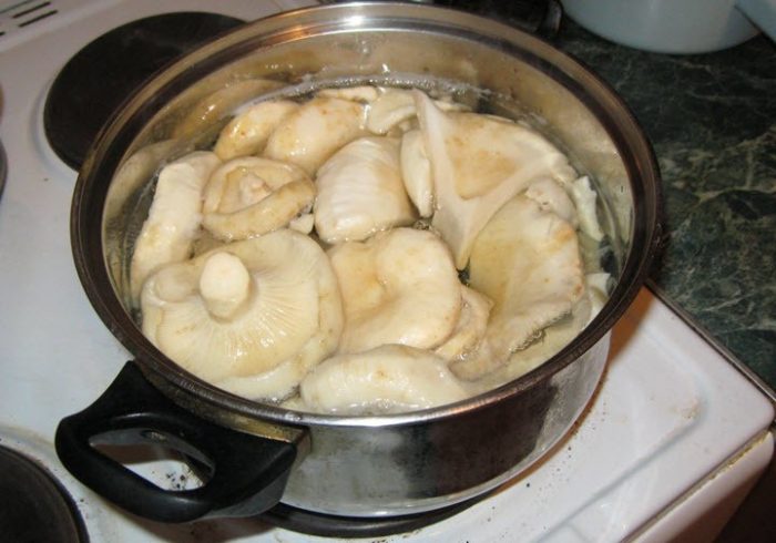 Как отваривать грузди перед засолкой